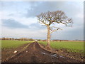 Path to the A570 Rainford Bypass and Lords Fold