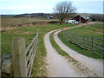 SE9898 : Track to Whitegate Bungalow, Staintondale by JThomas
