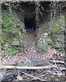 Cave by stream in woodland East of Woodcock Hall, Newburgh