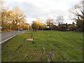 Green on Guildford Road, Stroud Common