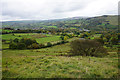 Fields above Chinley