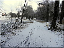 H4772 : Footprints in the snow, Cranny by Kenneth  Allen