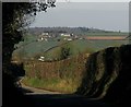 ST7161 : Lane to Inglesbatch by Derek Harper
