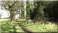 Footpath beside Lingwood Lane