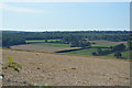 View from The Downs