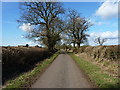 SJ8716 : Oak-lined lane towards Shredicote Farm by Richard Law