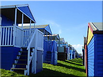 TR1167 : Terraces of beach huts on Tankerton Slopes by pam fray