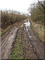 Track at Brindle Road Allotments