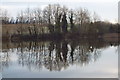 Decoy Pond near Brantham Industrial Estate