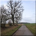 Towards Barwick Spinney