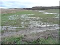 Waterlogged farmland near Stanley Flash