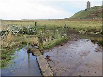 NU2521 : Modern drain west of Dunstanburgh Castle by Andrew Curtis