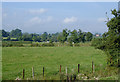 Pasture south of St Martin