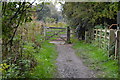 Gate on towpath