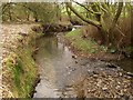 Steep stream bank