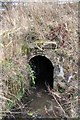 Buckie Burn Culvert