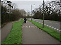 TQ1962 : Foot and cycle paths by Horton Lane by Hugh Venables