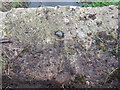 A rivet bench mark alongside Chester Road (East)