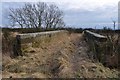 Old Railway Bridge