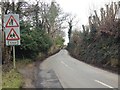 Broomhill Road, near Rusthall