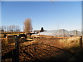 Polytunnels at Carmichaels Farm