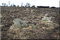 NJ5813 : North Strone Recumbent Stone Circle (5) by Anne Burgess