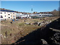 Allotments - Somerset Road