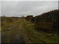 Road to Denholm Quarry