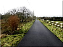 H5071 : Edenderry Road, Arvalee by Kenneth  Allen