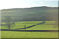 Farmland in Nidderdale