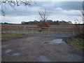 Field entrance near Lark Hall Farm