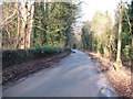 Minor road towards Cavenham