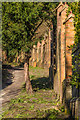 Path up Colley Hill