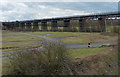 SK4743 : The Bennerley Viaduct by Mat Fascione
