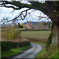 A glimpse of Folly Farm