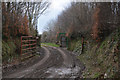 West Somerset : Farm Track