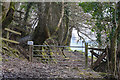 West Somerset : Footpath & Gate