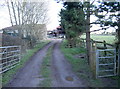Path to Combe Hill Farm