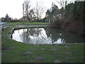 Pond, Risby