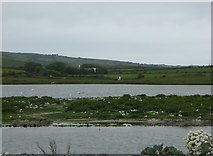 SH3393 : Cemlyn Nature Reserve by Eirian Evans