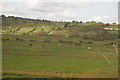 Floodplain of the River Parrett