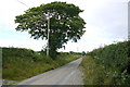 Country Lane near Panteinon