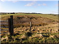 Altmore Townland