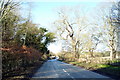 B1253 towards Rudston 