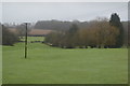 Trees, Horsted Pond Farm