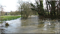 TG1208 : The River Yare in spate by Evelyn Simak
