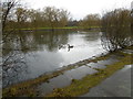 South Lake, Mayesbrook Park