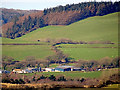 Llwyniorwerth viewed from Pant Da