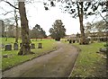 Cemetery Path