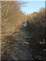 Disused road near South Cornelly